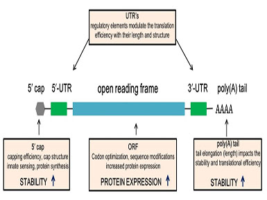 һ˶ƽ̨ñԼطרù֪ʶȨ